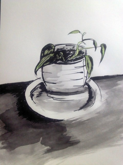 Plant on Table